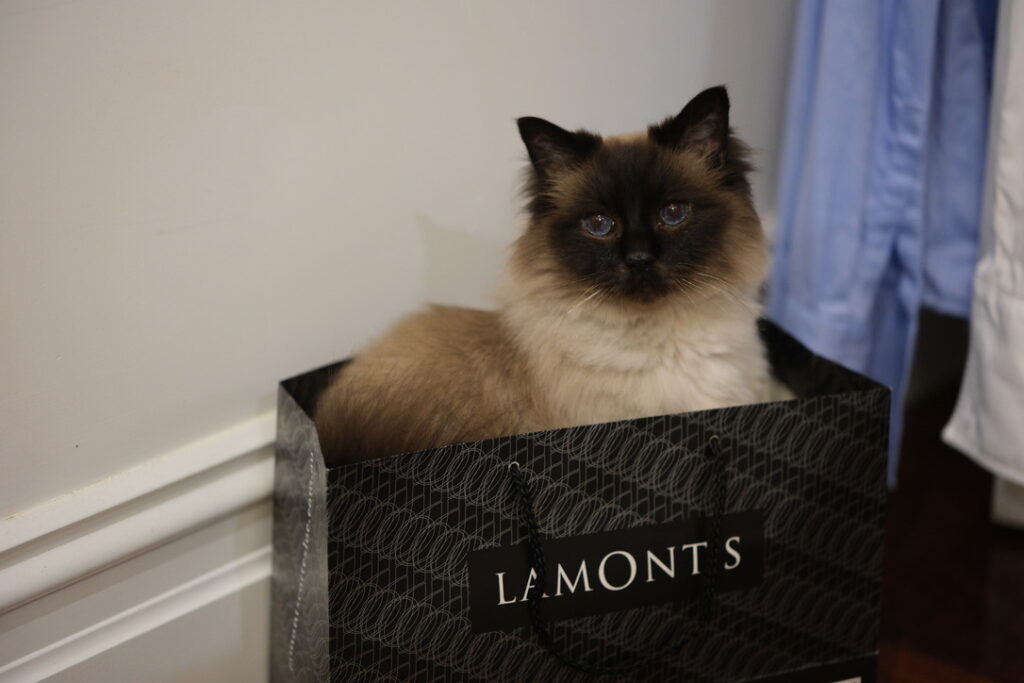 The Weinman wine-cat